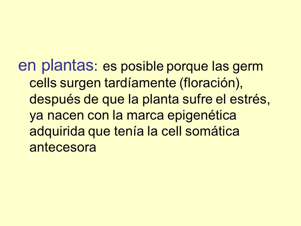 en plantas: es posible porque las germ cells surgen tardíamente (floración), después de que la planta sufre el estrés, ya nacen con la marca epigenética adquirida que tenía la cell somática antecesora