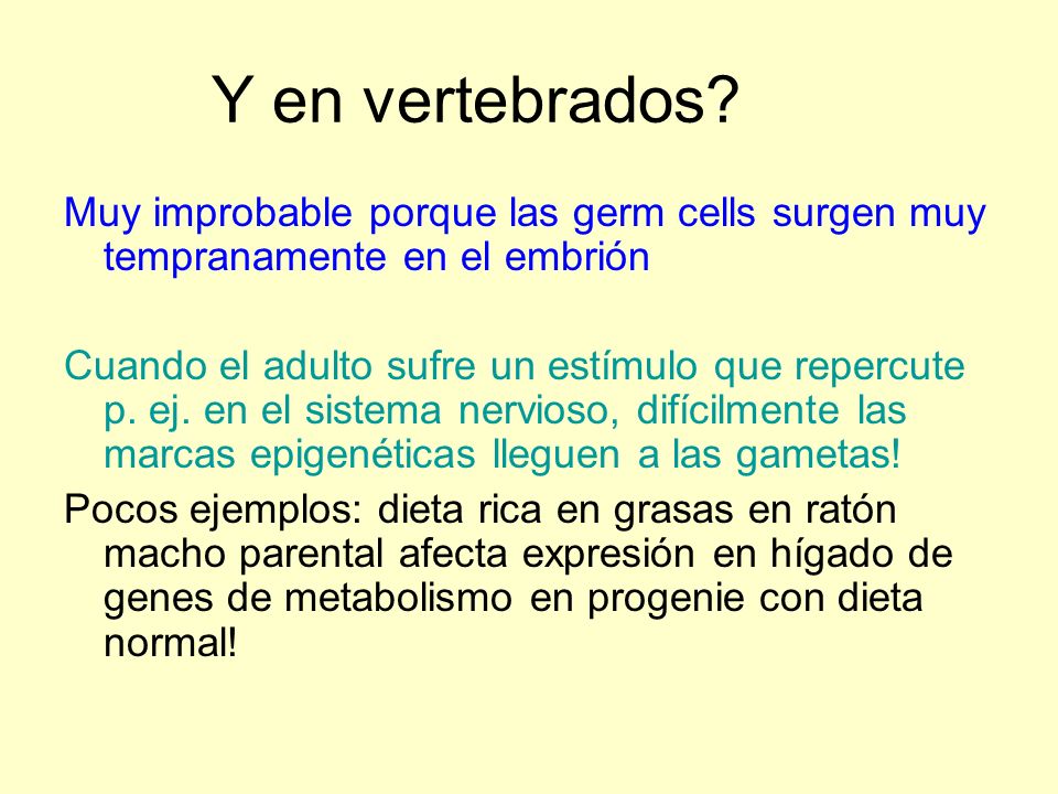 Y en vertebrados Muy improbable porque las germ cells surgen muy tempranamente en el embrión.