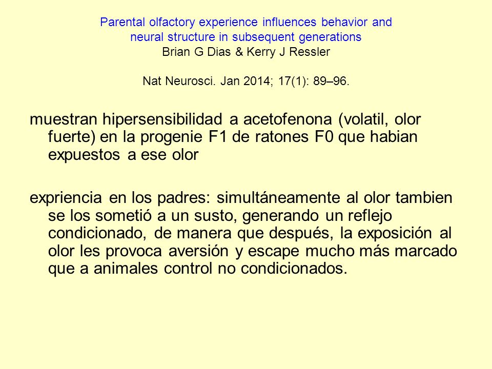 Parental olfactory experience influences behavior and neural structure in subsequent generations Brian G Dias & Kerry J Ressler Nat Neurosci. Jan 2014; 17(1): 89–96.