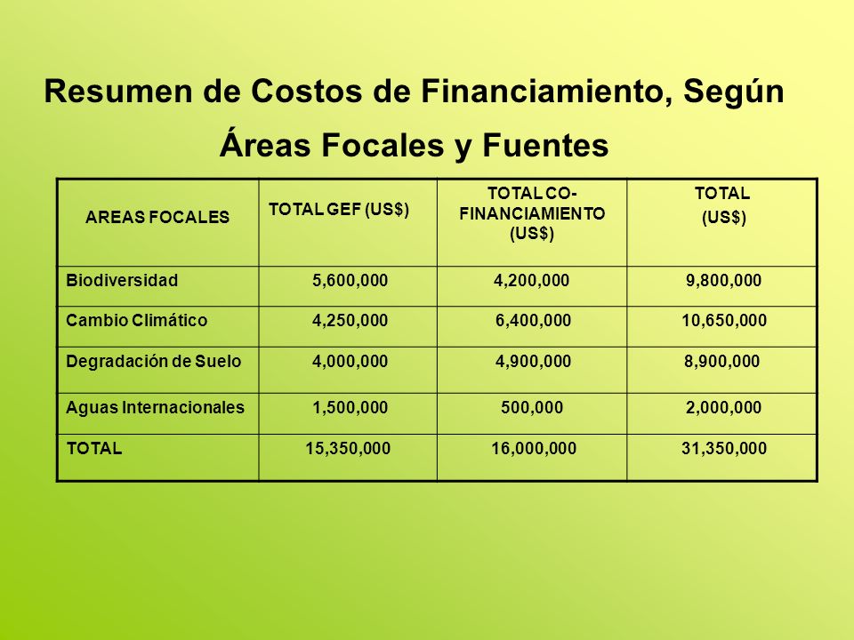 Resumen de Costos de Financiamiento, Según Áreas Focales y Fuentes