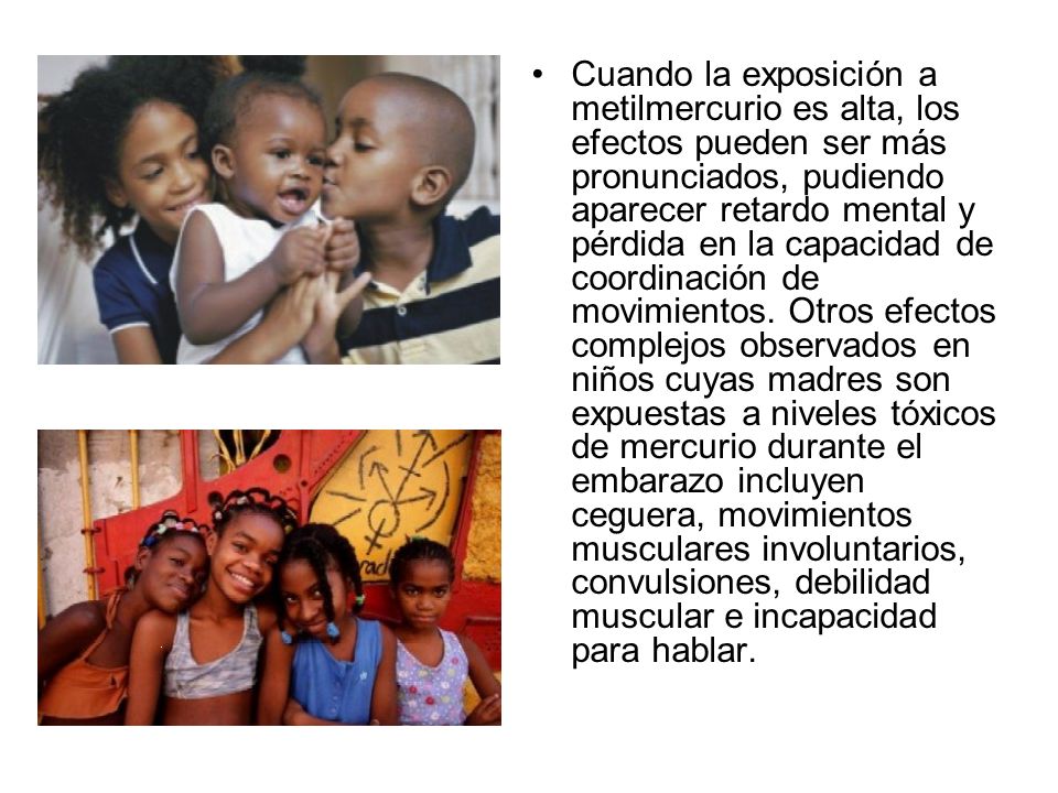 Cuando la exposición a metilmercurio es alta, los efectos pueden ser más pronunciados, pudiendo aparecer retardo mental y pérdida en la capacidad de coordinación de movimientos.