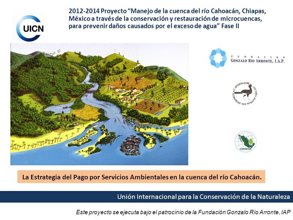Proyecto Manejo de la cuenca del río Cahoacán, Chiapas, México a través de la conservación y restauración de microcuencas, para prevenir daños causados por el exceso de agua Fase II