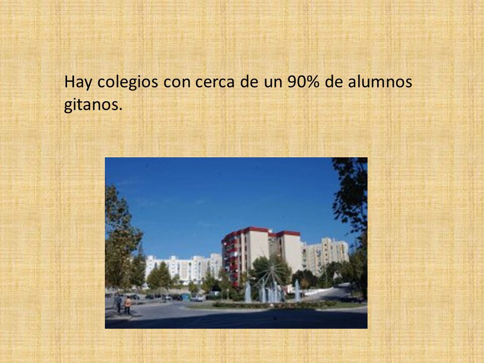 Hay colegios con cerca de un 90% de alumnos gitanos.