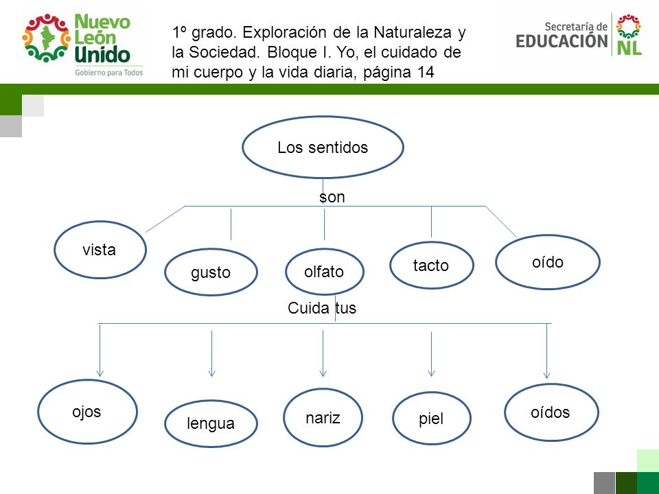 1º grado. Exploración de la Naturaleza y la Sociedad. Bloque I