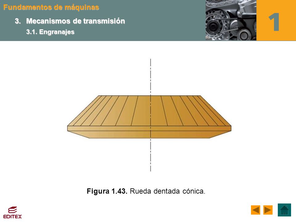 3. Mecanismos de transmisión