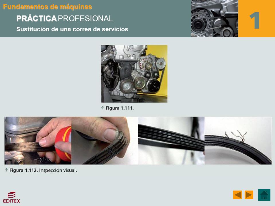 PRÁCTICA PROFESIONAL Sustitución de una correa de servicios