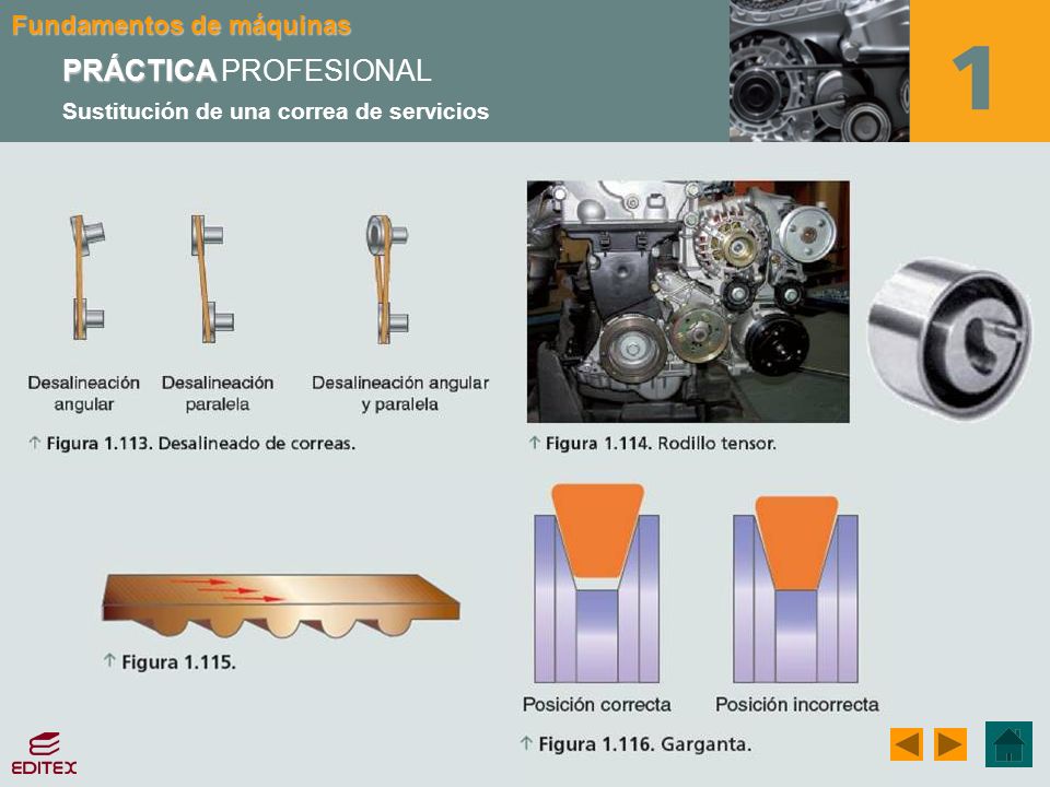 PRÁCTICA PROFESIONAL Sustitución de una correa de servicios