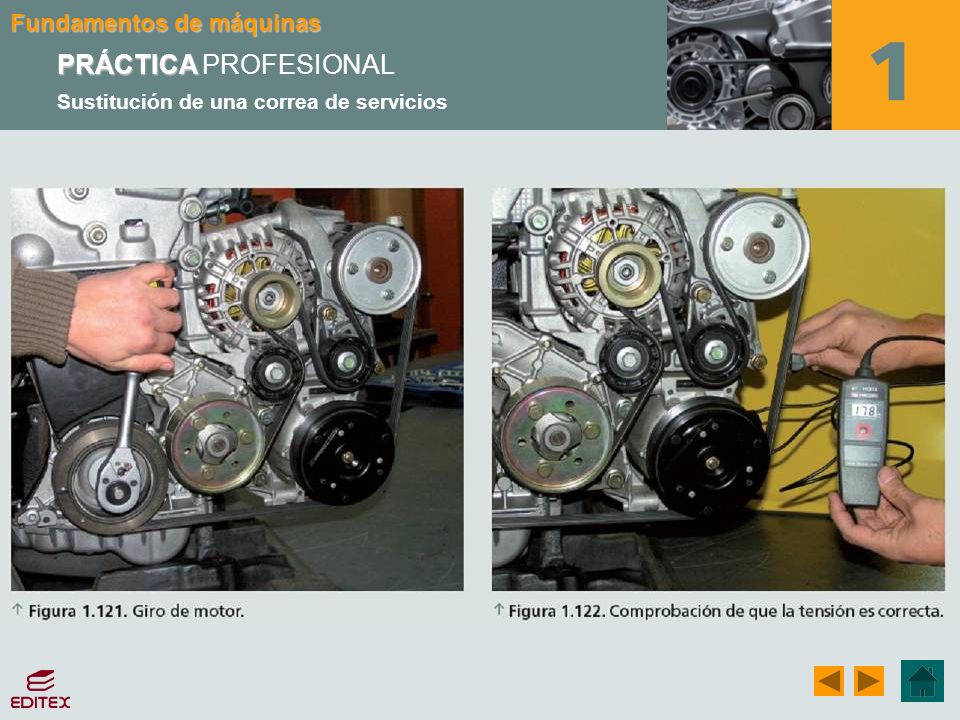 PRÁCTICA PROFESIONAL Sustitución de una correa de servicios