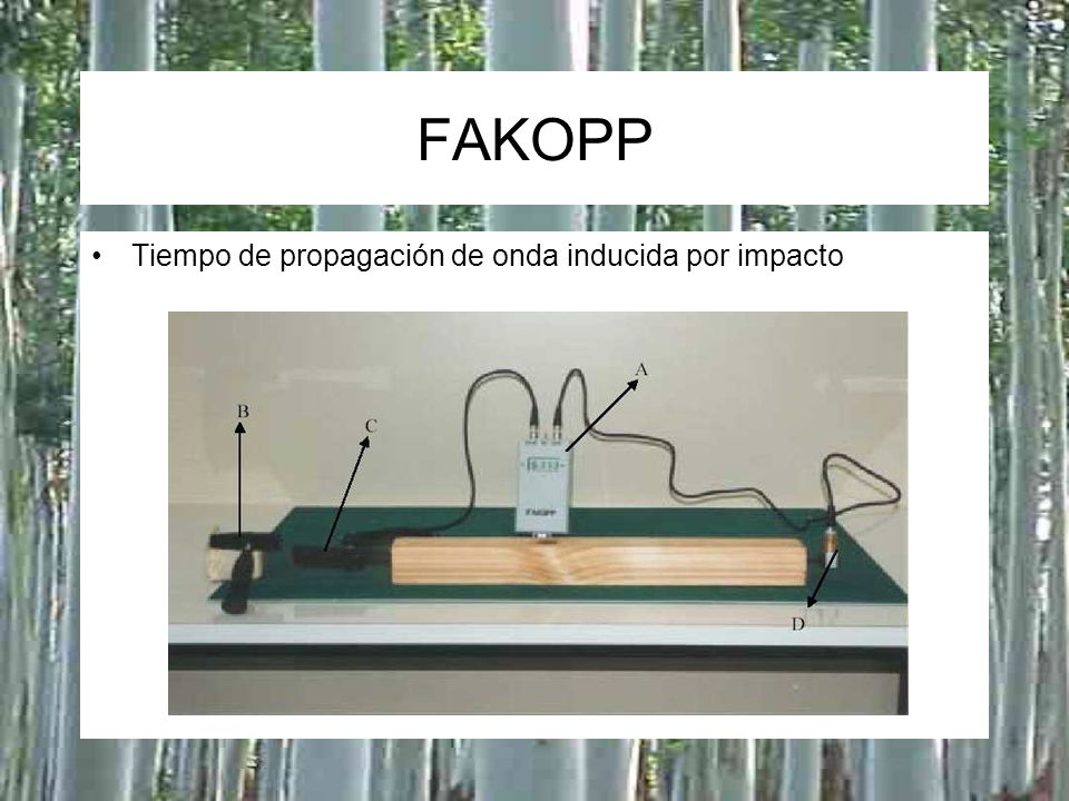 FAKOPP Tiempo de propagación de onda inducida por impacto A: FakOpp