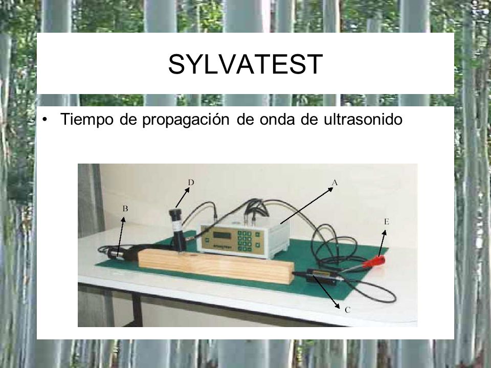 SYLVATEST Tiempo de propagación de onda de ultrasonido A: Sylvatest