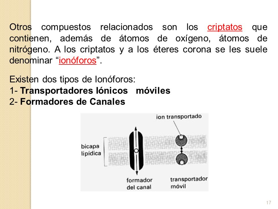 Otros compuestos relacionados son los criptatos que contienen, además de átomos de oxígeno, átomos de nitrógeno. A los criptatos y a los éteres corona se les suele denominar ionóforos .