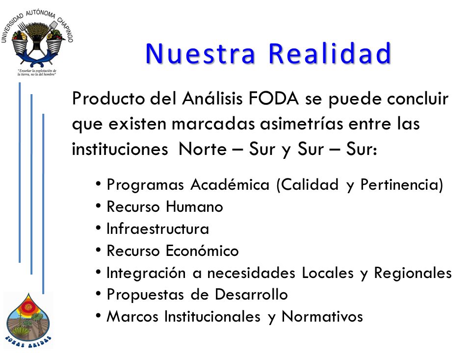 Nuestra Realidad Producto del Análisis FODA se puede concluir que existen marcadas asimetrías entre las instituciones Norte – Sur y Sur – Sur: