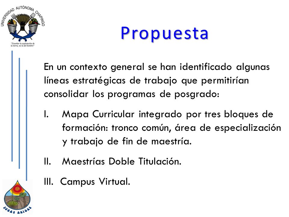 Propuesta En un contexto general se han identificado algunas líneas estratégicas de trabajo que permitirían consolidar los programas de posgrado: