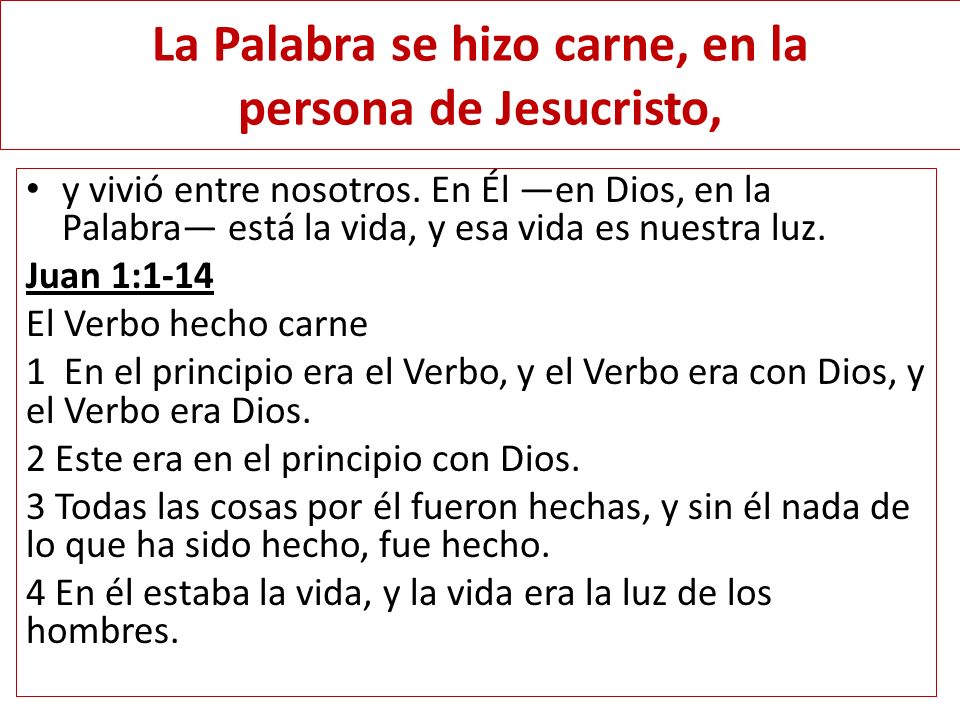 La Palabra se hizo carne, en la persona de Jesucristo,