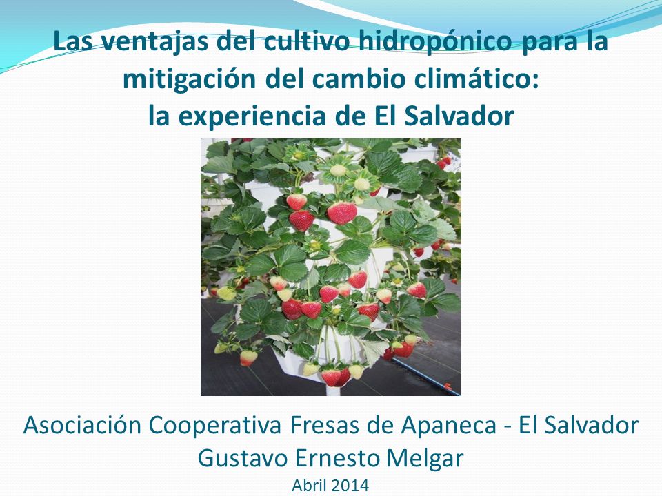 Las ventajas del cultivo hidropónico para la mitigación del cambio climático: la experiencia de El Salvador