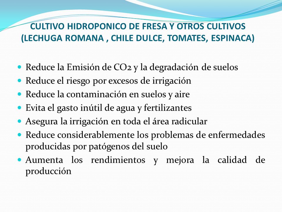 CULTIVO HIDROPONICO DE FRESA Y OTROS CULTIVOS (LECHUGA ROMANA , CHILE DULCE, TOMATES, ESPINACA)