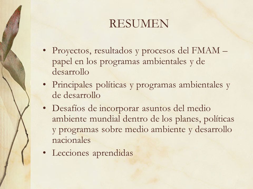 RESUMEN Proyectos, resultados y procesos del FMAM – papel en los programas ambientales y de desarrollo.