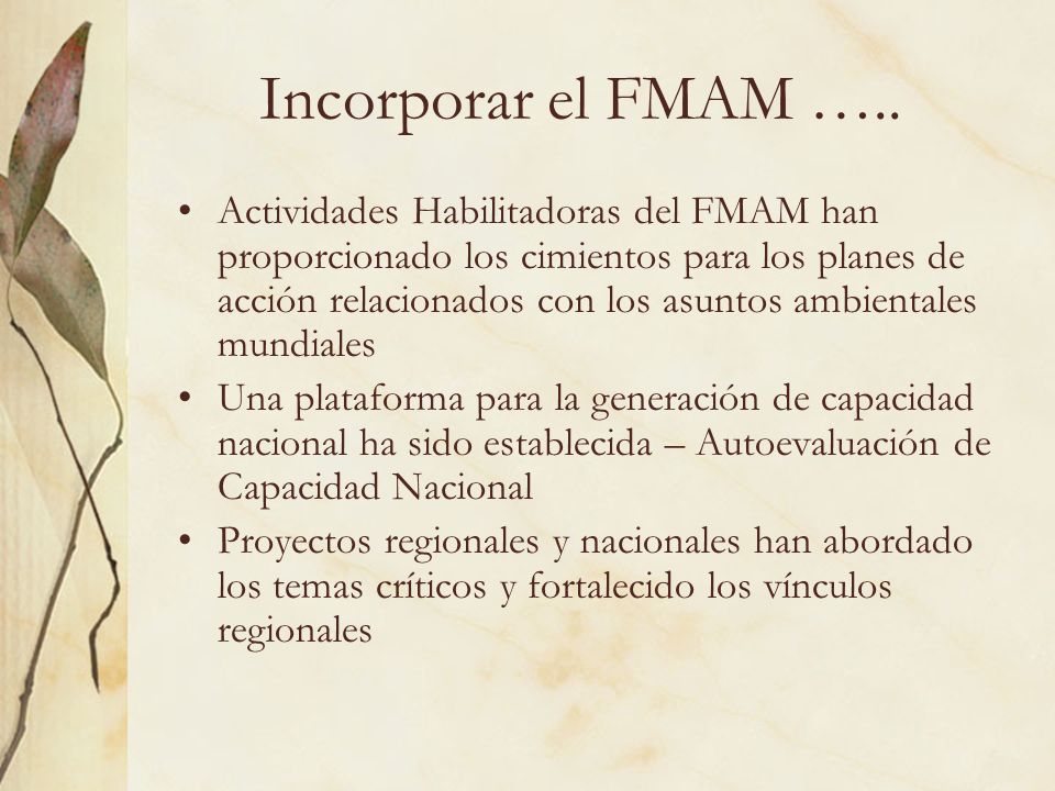 Incorporar el FMAM …..