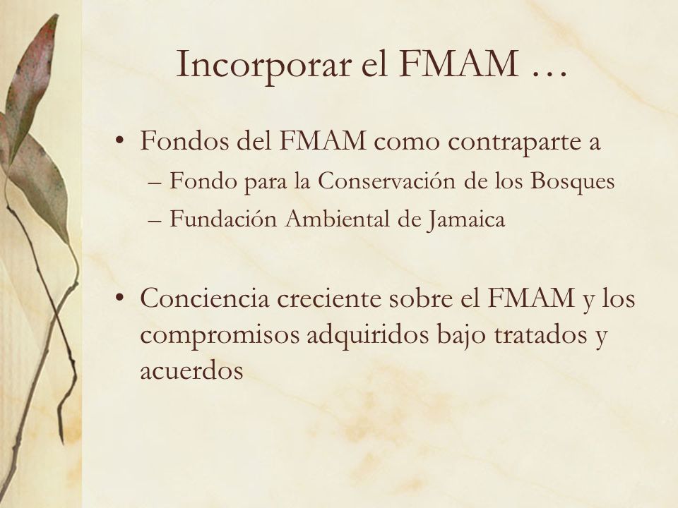 Incorporar el FMAM … Fondos del FMAM como contraparte a