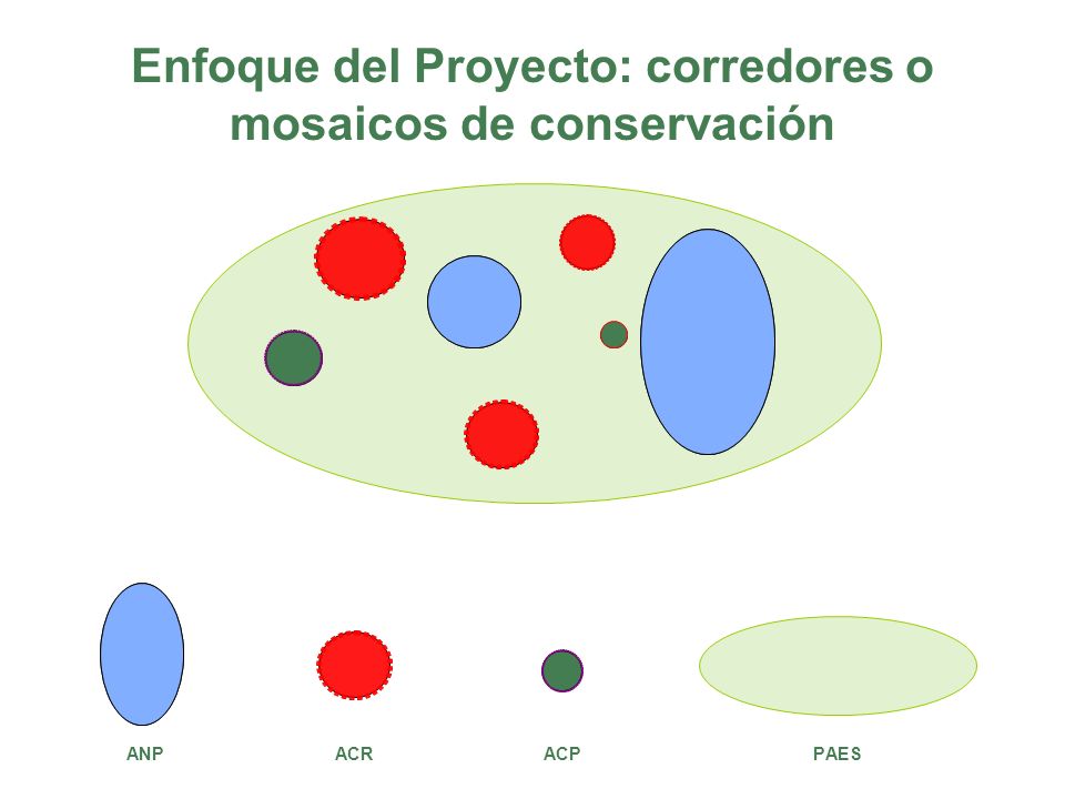 Enfoque del Proyecto: corredores o mosaicos de conservación