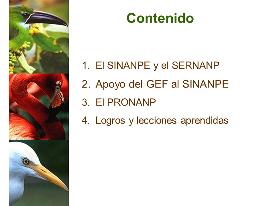 Contenido Apoyo del GEF al SINANPE El SINANPE y el SERNANP El PRONANP