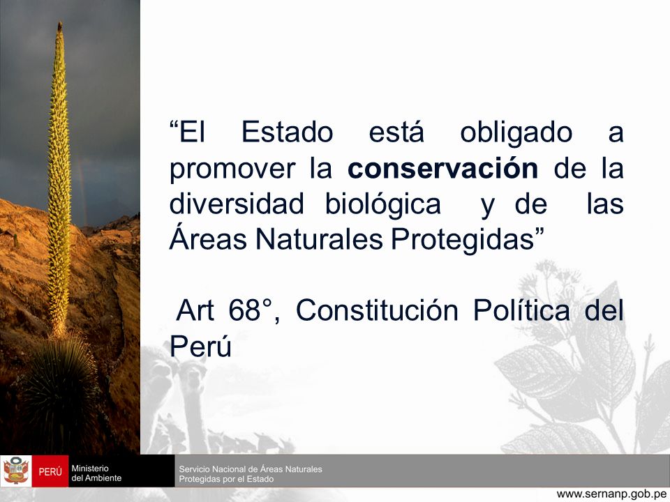 El Estado está obligado a promover la conservación de la diversidad biológica y de las Áreas Naturales Protegidas