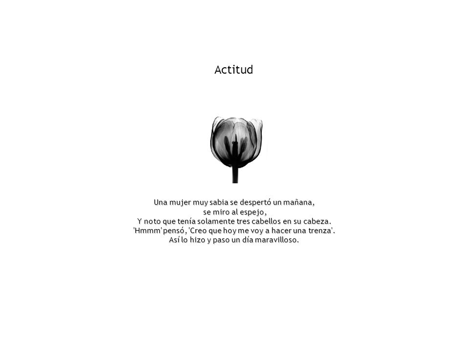 Actitud