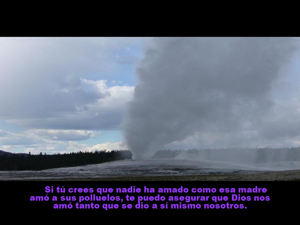 Si tú crees que nadie ha amado como esa madre amó a sus polluelos, te puedo asegurar que Dios nos amó tanto que se dio a sí mismo nosotros.