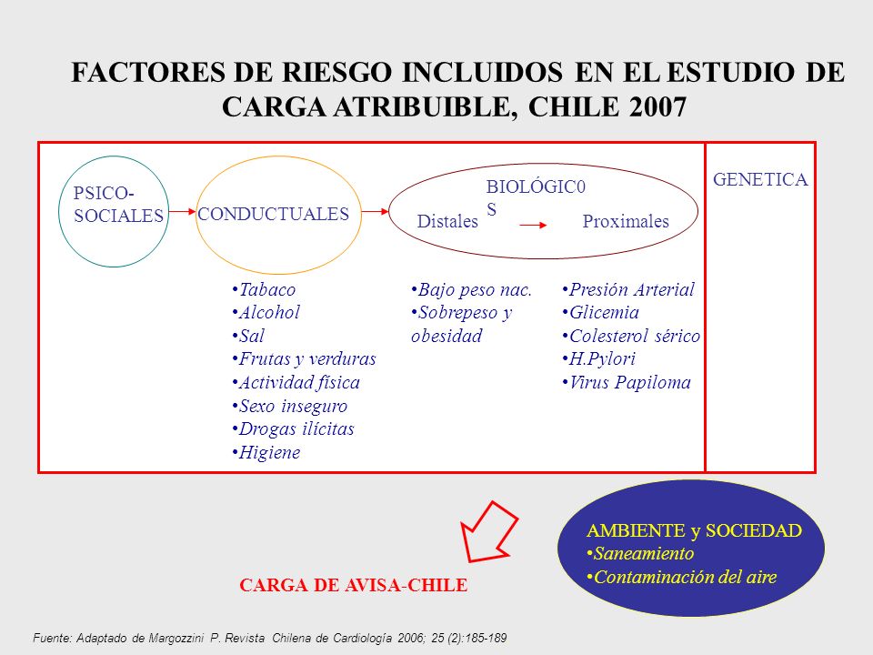 FACTORES DE RIESGO INCLUIDOS EN EL ESTUDIO DE CARGA ATRIBUIBLE, CHILE 2007