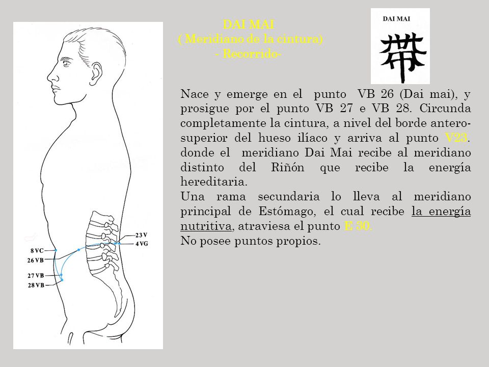 ( Meridiano de la cintura)
