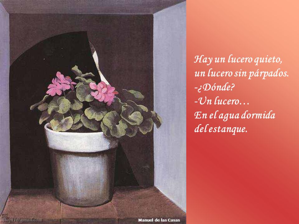 Hay un lucero quieto, un lucero sin párpados. -¿Dónde -Un lucero…