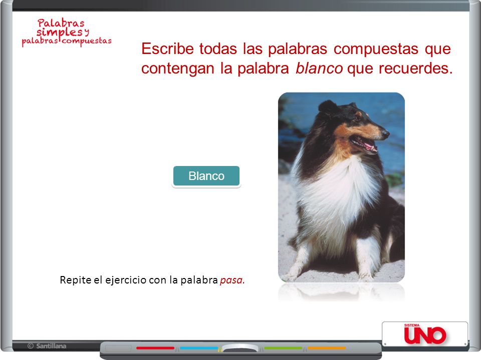 Escribe todas las palabras compuestas que contengan la palabra blanco que recuerdes.