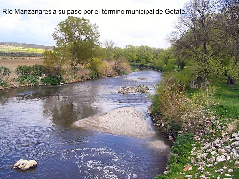 Río Manzanares a su paso por el término municipal de Getafe.