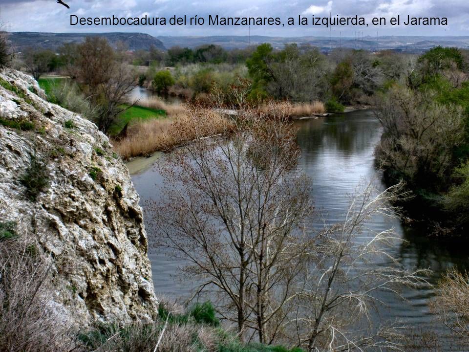 Desembocadura del río Manzanares, a la izquierda, en el Jarama