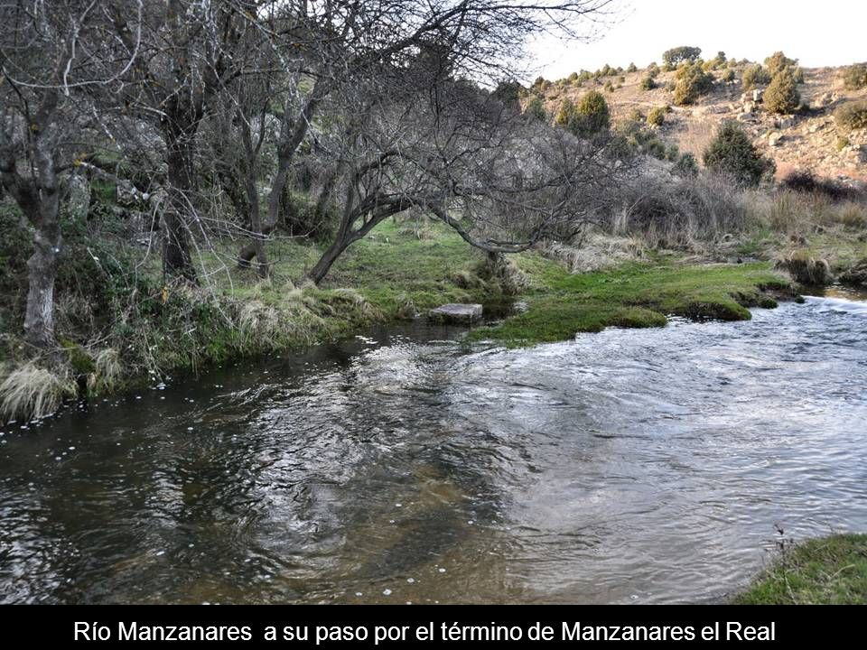 La Pedriza Río Manzanares a su paso por el término de Manzanares el Real