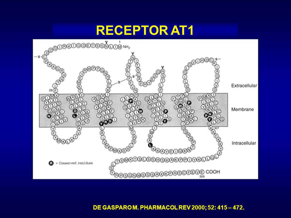 RECEPTOR AT1 DE GASPARO M. PHARMACOL REV 2000; 52: 415 – 472.