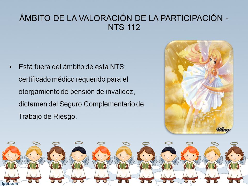 ÁMBITO DE LA VALORACIÓN DE LA PARTICIPACIÓN - NTS 112
