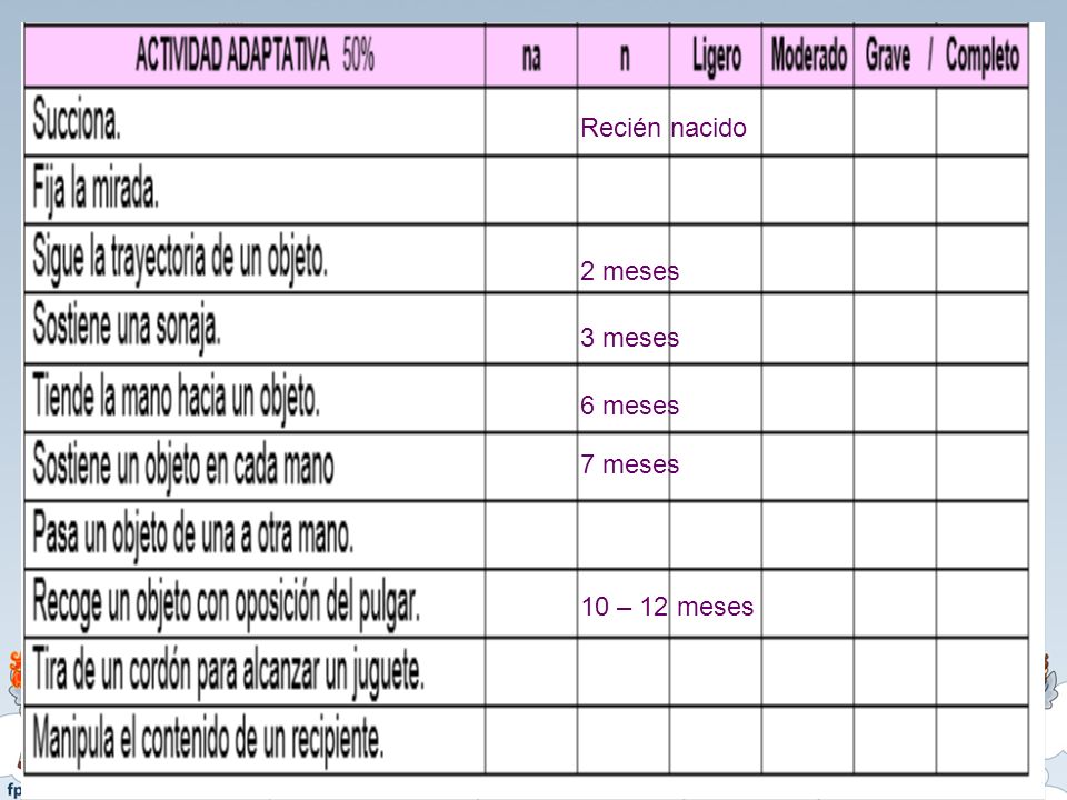Recién nacido 2 meses 3 meses 6 meses 7 meses 10 – 12 meses