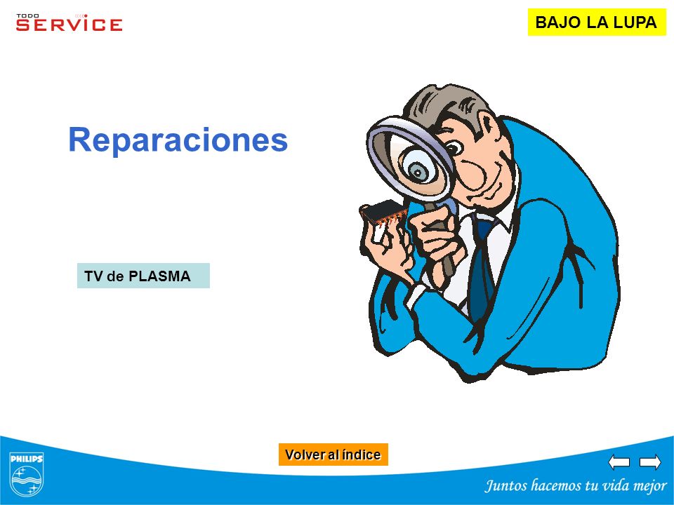 BAJO LA LUPA Reparaciones TV de PLASMA Volver al índice