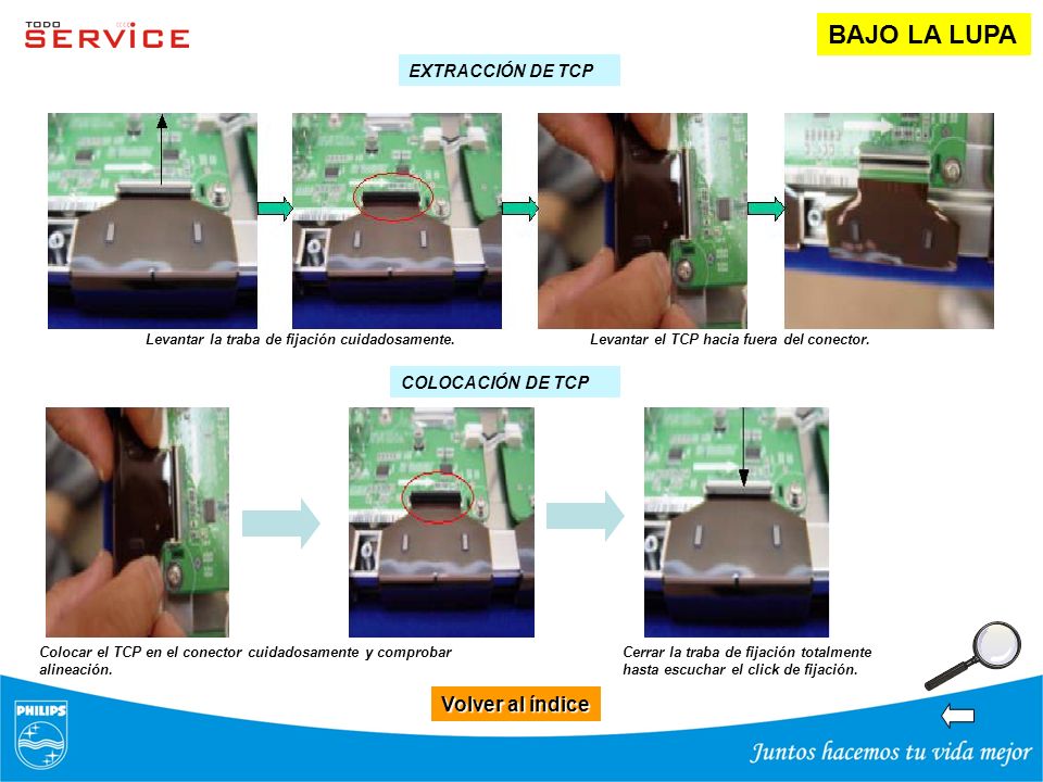 BAJO LA LUPA Volver al índice EXTRACCIÓN DE TCP COLOCACIÓN DE TCP