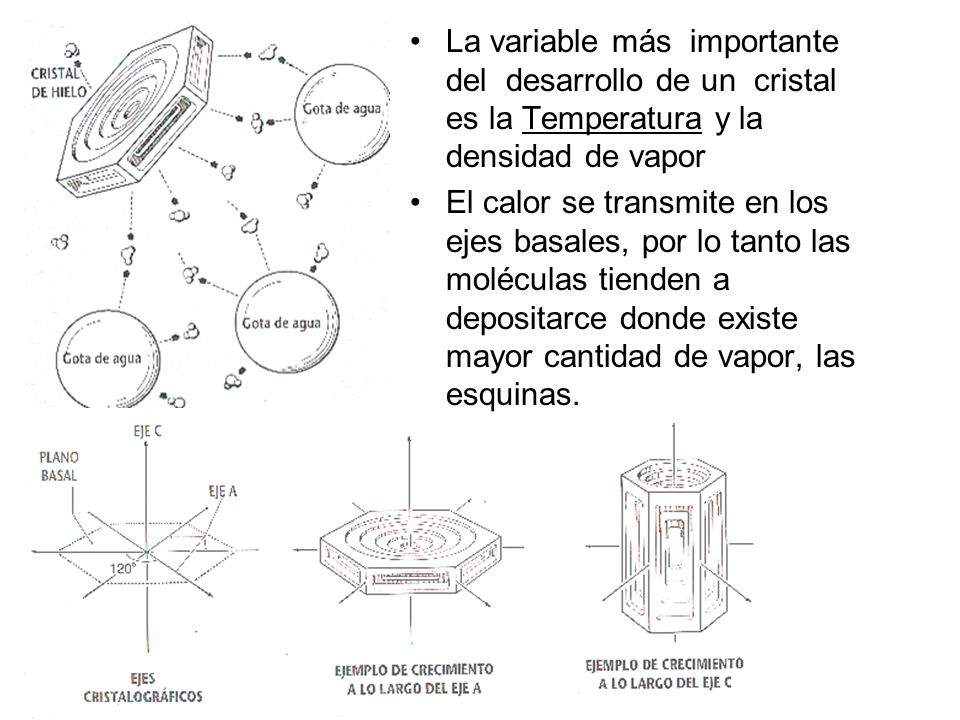 La variable más importante del desarrollo de un cristal es la Temperatura y la densidad de vapor