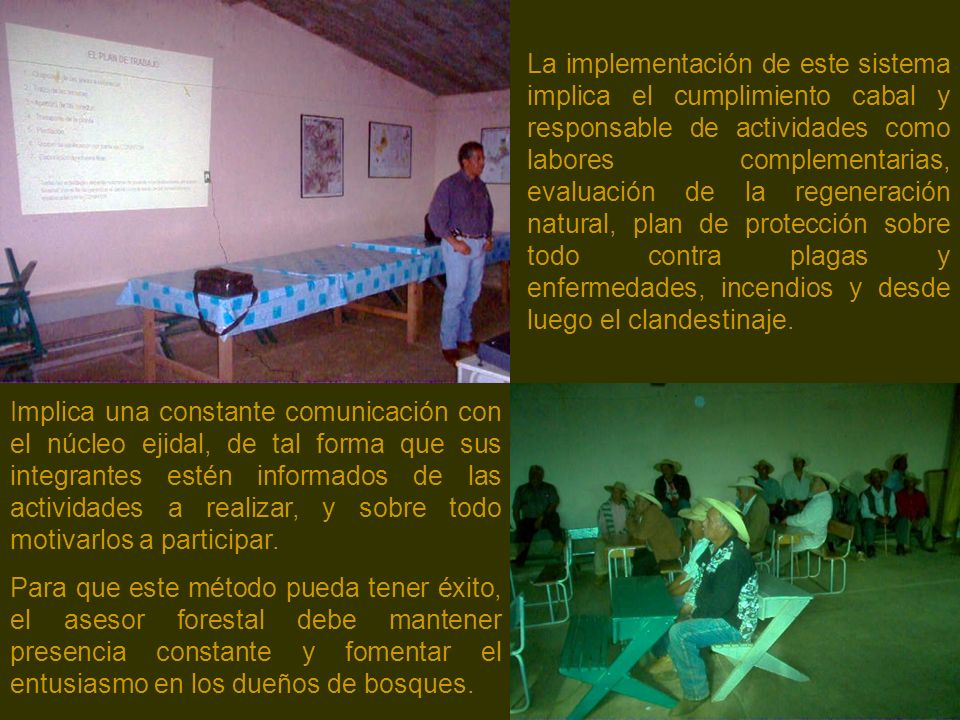 La implementación de este sistema implica el cumplimiento cabal y responsable de actividades como labores complementarias, evaluación de la regeneración natural, plan de protección sobre todo contra plagas y enfermedades, incendios y desde luego el clandestinaje.