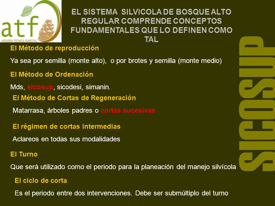 EL SISTEMA SILVICOLA DE BOSQUE ALTO REGULAR COMPRENDE CONCEPTOS FUNDAMENTALES QUE LO DEFINEN COMO TAL
