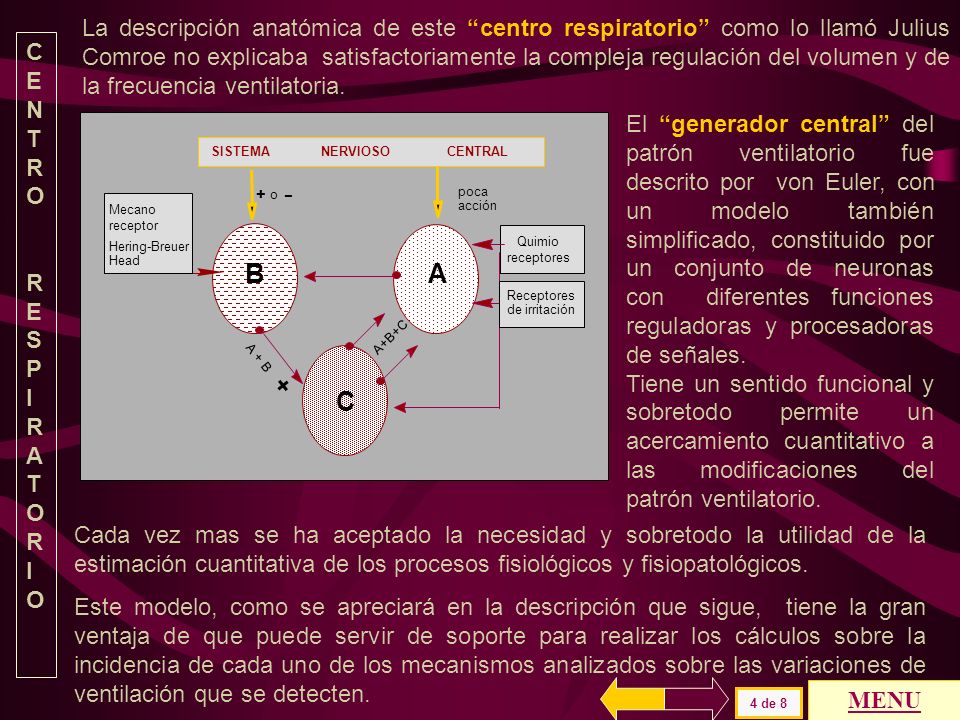 La descripción anatómica de este centro respiratorio como lo llamó Julius Comroe no explicaba satisfactoriamente la compleja regulación del volumen y de la frecuencia ventilatoria.