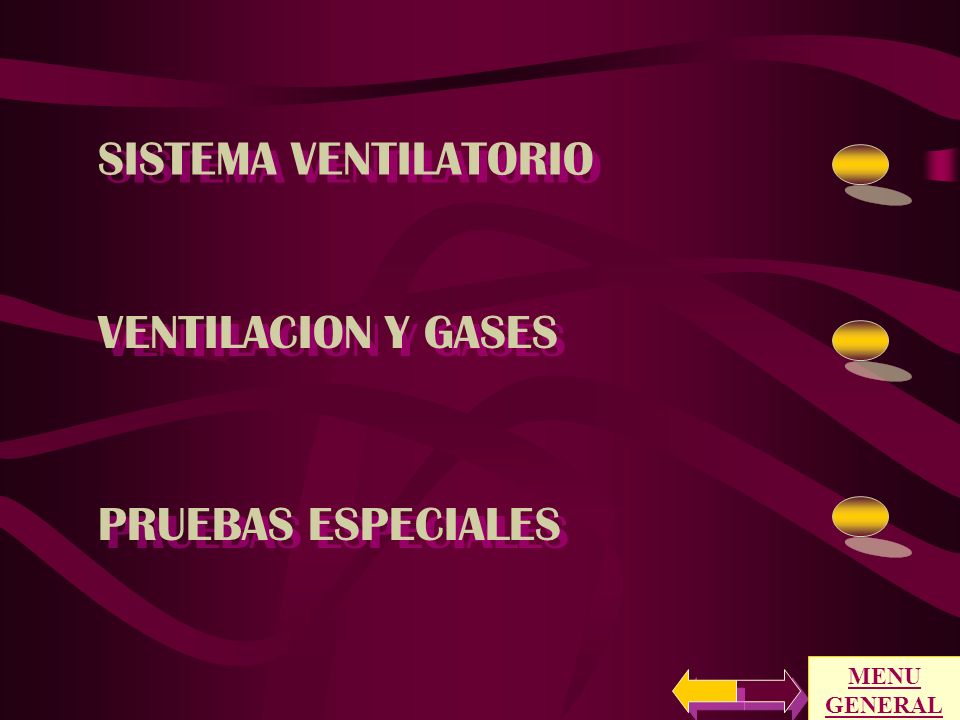 SISTEMA VENTILATORIO VENTILACION Y GASES PRUEBAS ESPECIALES MENU