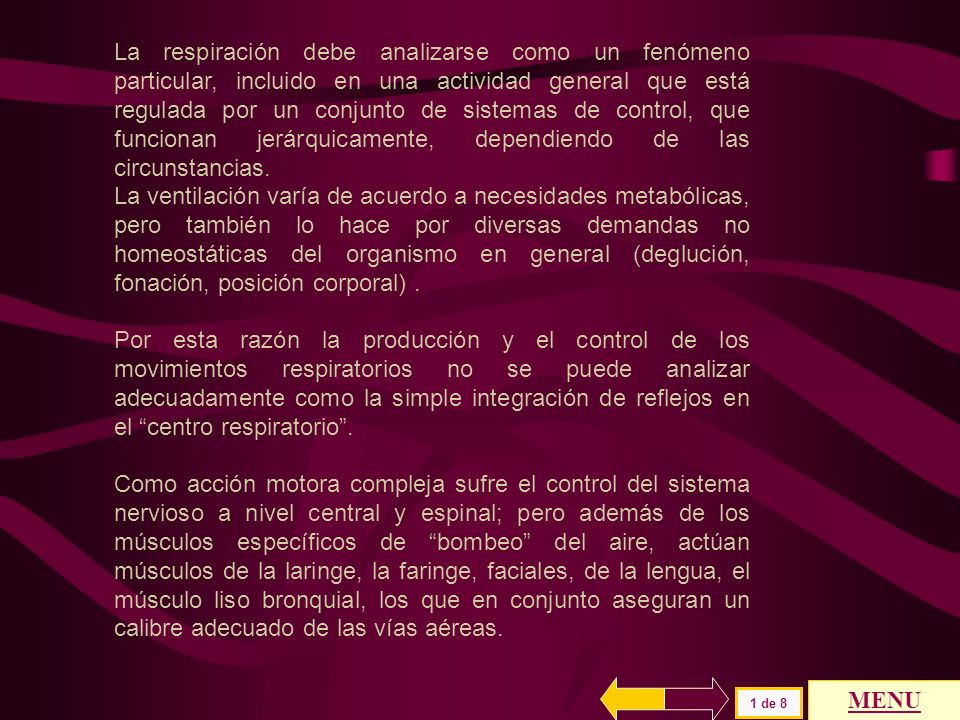 La respiración debe analizarse como un fenómeno particular, incluido en una actividad general que está regulada por un conjunto de sistemas de control, que funcionan jerárquicamente, dependiendo de las circunstancias.