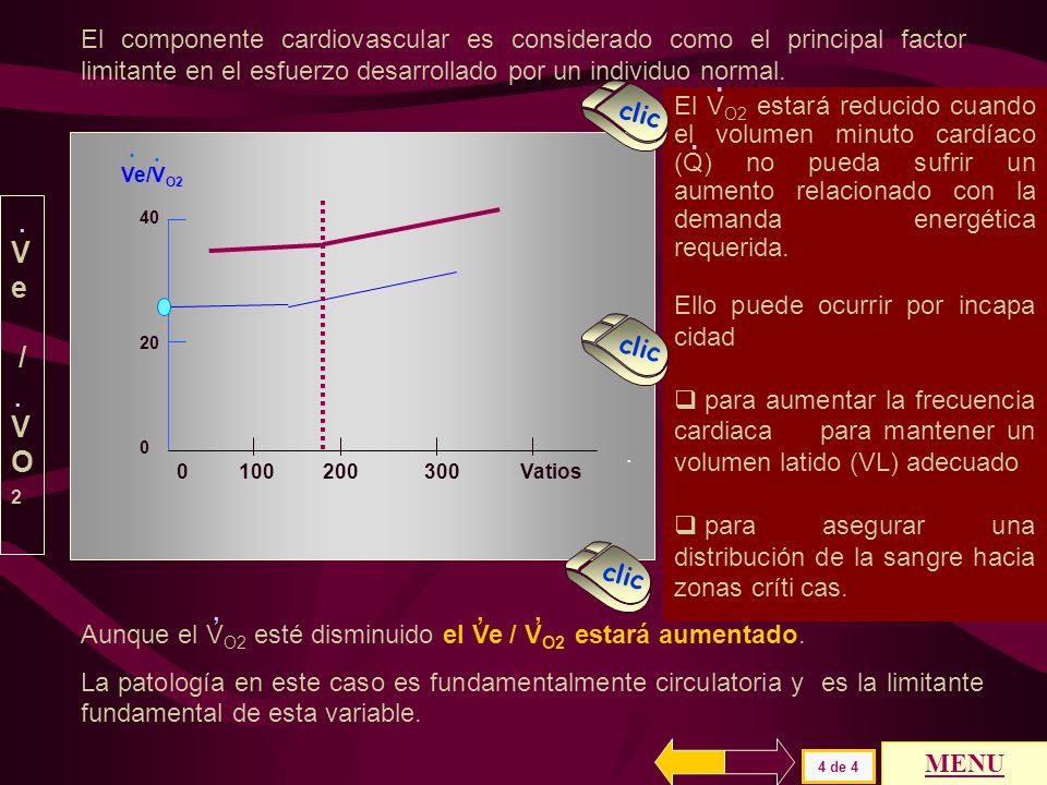 El componente cardiovascular es considerado como el principal factor limitante en el esfuerzo desarrollado por un individuo normal.