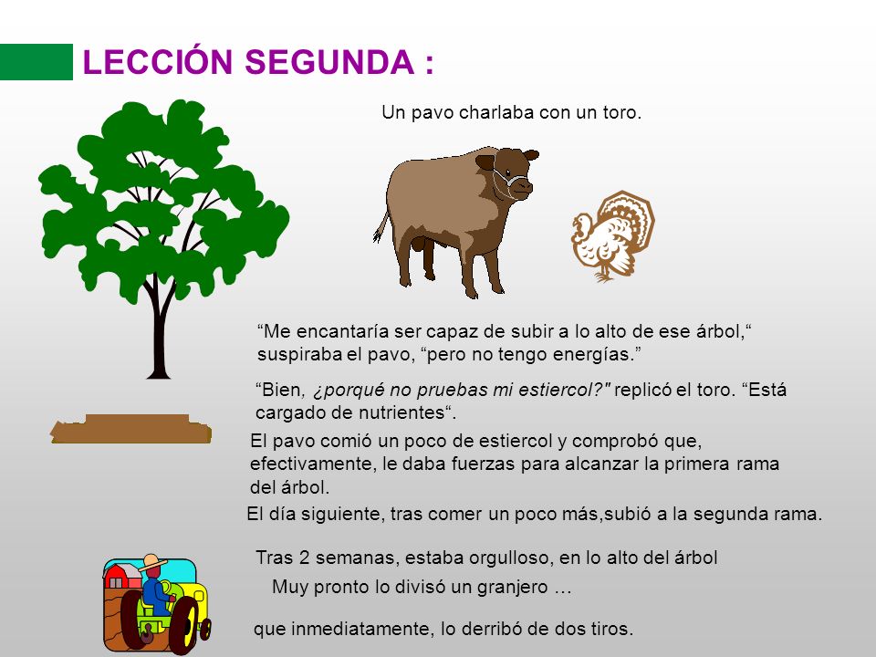 LECCIÓN SEGUNDA : Un pavo charlaba con un toro.
