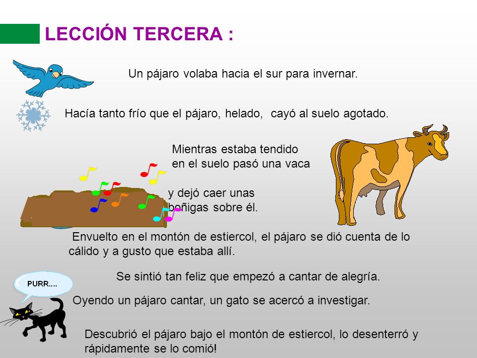 LECCIÓN TERCERA : Un pájaro volaba hacia el sur para invernar.