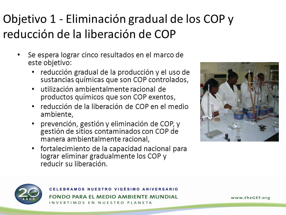 Objetivo 1 - Eliminación gradual de los COP y reducción de la liberación de COP